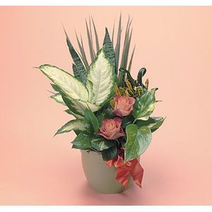 Green Garden in North East, PA, The Flower Cart