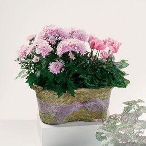 Blooming Duo in North East, PA, The Flower Cart