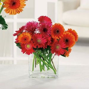 Charming Gerberas in North East, PA, The Flower Cart